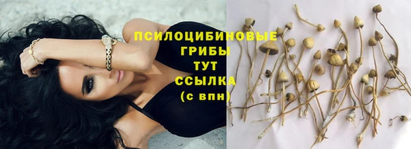 прущие крисы Снежинск