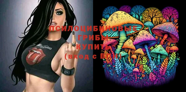 соль курить ск Арсеньев