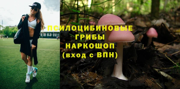 МДПВ Кулебаки