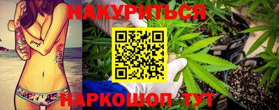 2c-b Кингисепп