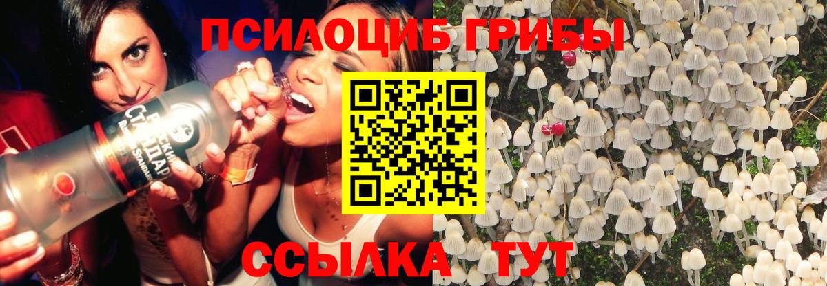 Галлюциногенные грибы мухоморы  Вход с VPN  Псилоцибиновые грибы MAGIC MUSHROOMS  Феодосия 